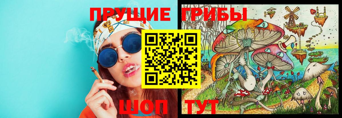 Псилоцибиновые грибы GOLDEN TEACHER Волгодонск
