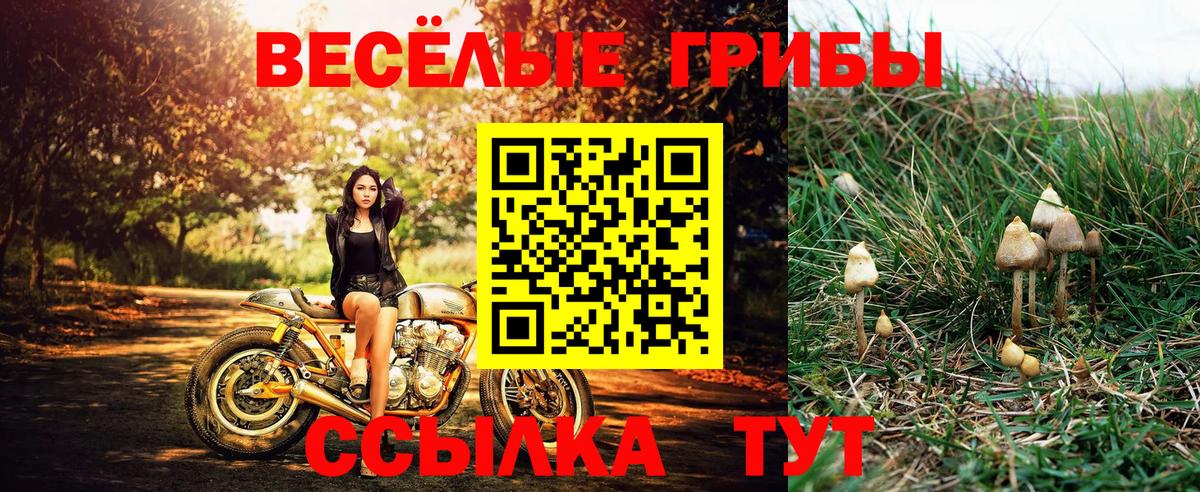 Волгодонск  Псилоцибиновые грибы ЛСД  Псилоцибиновые грибы ЛСД  Вход с VPN 